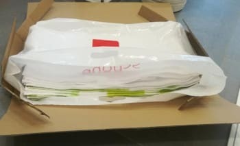 Flächenvorhang eingepackt