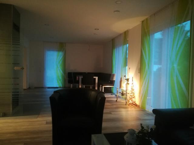 Schiebegardine green modern - transparent 