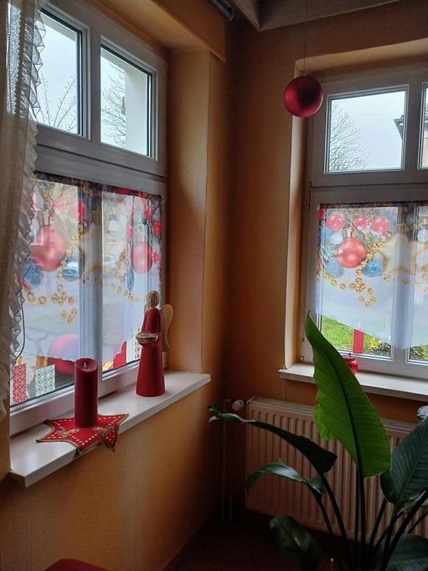 Scheibenhänger spitz mit Weihnachtsmotiv - mit Pflanze im Wohnzimmer