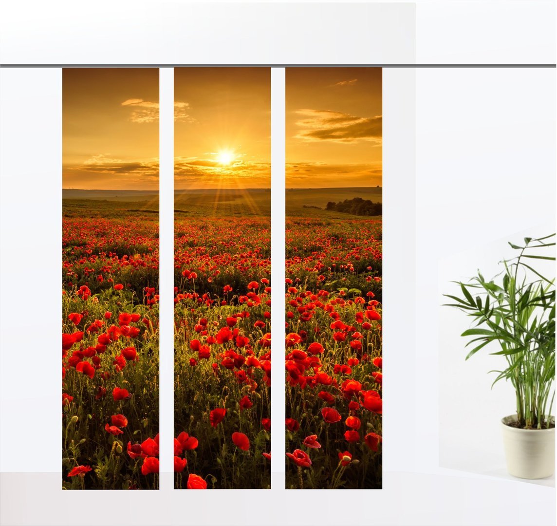 Birkenwald 3erset mohn3er