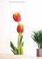 Preview: Schiebevorhang in blickdicht mit Tulpenmotiv - Blumenmotiv in blickdich