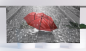 Preview: Cafehausgardine - rain