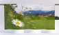 Preview: Cafehausgardine - Bergblumen