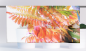 Preview: Cafehausgardine - Parrots