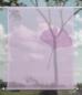 Preview: Scheibenhänger transparent Ginkgo foliorum flieder three- rechteckig
