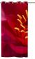Preview: Ösenschal red_flower - Ösenvorhang