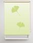 Preview: Rollo Ginkgo folorium apfel 2 , Motivrollo, Rollo mit Druck, Fotorollo, bedrucktes Rollo, Fensterrollo,verdunkelndes Rollo, Sonnenschutz Rollo