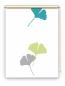 Preview: Rollo Ginkgo folorium apfel-türkis , Motivrollo, Rollo mit Druck, Fotorollo, bedrucktes Rollo, Fensterrollo,verdunkelndes Rollo, Sonnenschutz Rollo