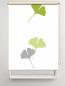 Preview: Rollo Ginkgo folorium green-apfel  , Motivrollo, Rollo mit Druck, Fotorollo, bedrucktes Rollo, Fensterrollo,verdunkelndes Rollo, Sonnenschutz Rollo
