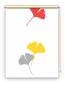 Preview: Rollo Ginkgo folorium red-yellow , Motivrollo, Rollo mit Druck, Fotorollo, bedrucktes Rollo, Fensterrollo,verdunkelndes Rollo, Sonnenschutz Rollo