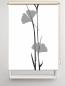 Preview: Rollo Ginkgo  grey , Motivrollo, Rollo mit Druck, Fotorollo, bedrucktes Rollo, Fensterrollo,verdunkelndes Rollo, Sonnenschutz Rollo