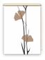 Preview: Rollo Ginkgo cappuccino, Motivrollo, Rollo mit Druck, Fotorollo, bedrucktes Rollo, Fensterrollo,verdunkelndes Rollo, Sonnenschutz Rollo