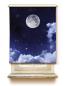 Preview: Rollo Moon