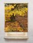 Preview: Rollo Schieferherbst