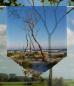 Preview: Scheibenhänger Troer voile transparent