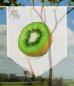 Preview: Scheibenhänger Früchtchen Kiwi voile transparent