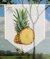 Preview: Scheibenhänger Früchtchen Ananas spitz voile transparent