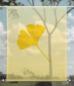 Preview: Scheibenhänger transparent Ginkgo foliorum yellow one- rechteckig