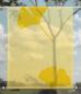 Preview: Scheibenhänger transparent Ginkgo foliorum yellow two- rechteckig