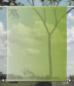 Preview: Scheibenhänger green Gingko R-rechteckig,