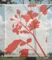 Preview: Scheibenhänger rechteckig transparent meadow red two