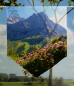 Preview: Scheibenhänger Alpenblumen voile transparent