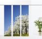 Mobile Preview: Flächenvorhang Frühlingsbäume, 3er Serie