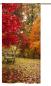 Preview: Schlaufenschal Herbstlichtung