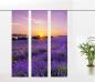 Preview: Flächenvorhang Lavendel, Provence - 3er - Serie,  Set 3tlg,