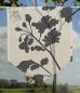 Preview: Scheibenhänger Meadow tone black  transparent