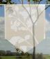 Preview: Scheibenhänger Meadow tone  voile transparent