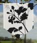 Preview: Scheibenhänger Meadow uni voile transparent