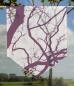 Preview: Scheibenhänger  Ramos aubergine  transparent