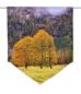 Preview: Herbstfreuden-Berge, Scheibenhänger spitz
