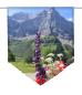 Preview: Sommererlebnis-Berge, Scheibenhänger spitz