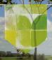 Mobile Preview: Scheibenhänger Art Quadrants Citrus transparent