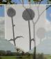 Preview: Scheibenhänger Thistle griseo  transparent