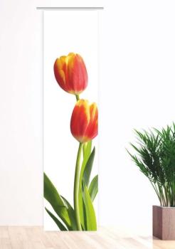 Schiebevorhang in blickdicht mit Tulpenmotiv - Blumenmotiv in blickdich