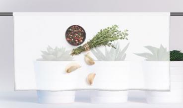 Cafehausgardine - Küchenfreuden-Knoblauch-Mix