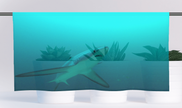 Cafehausgardine - Threshershark