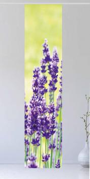 Flächenvorhang Der Lavendel 1