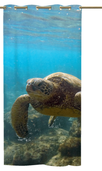 Ösenschal Turtle-Meeting - Ösenvorhang