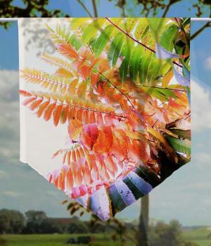 Scheibenhänger Parrots voile transparent