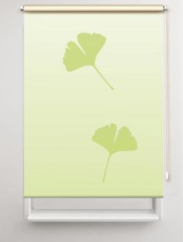 Rollo Ginkgo folorium apfel 2 , Motivrollo, Rollo mit Druck, Fotorollo, bedrucktes Rollo, Fensterrollo,verdunkelndes Rollo, Sonnenschutz Rollo
