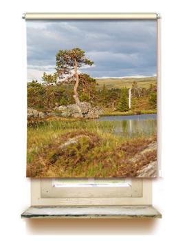 Rollo Blafjaella