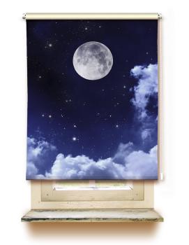 Rollo Moon