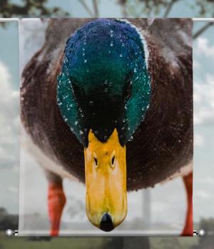 Scheibenhänger transparent duck- rechteckig