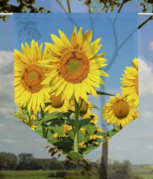 Scheibenhänger  Sonnenblumen