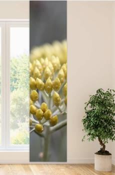 Flächenvorhang Helichrysum , Schiebevorhang, Schiebegardine, modern, 60 cm breit, 2,65 m hoch, 3 m hoch