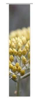 Flächenvorhang Helichrysum , Schiebevorhang, Schiebegardine, modern, 60 cm breit, 2,65 m hoch, 3 m hoch